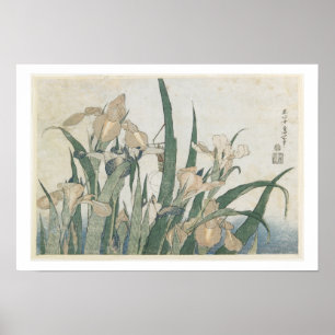 Póster Iris Flowers and Grasshopper, c.1830-31