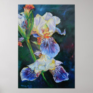 Póster "Iris I"
