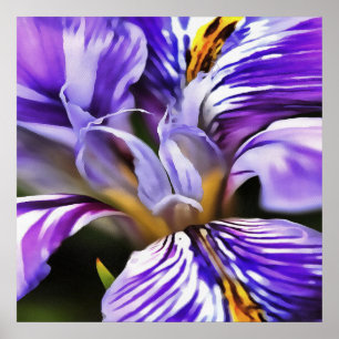 Póster Iris In Violet Lilac and Purple Botanical Art