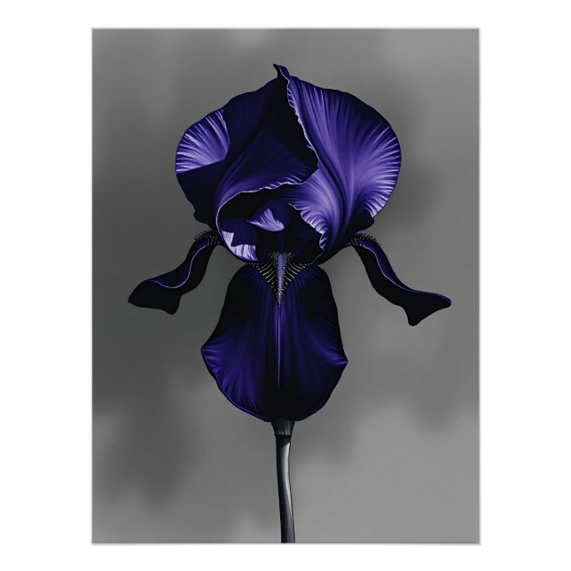 Póster Iris Oscuro Elegante Con Gris Humeante (Anverso)