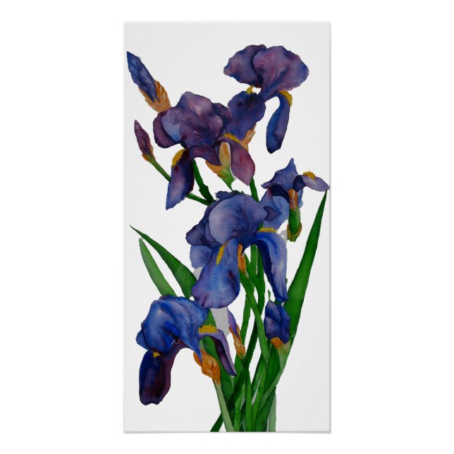 Póster Iris Print (Anverso)