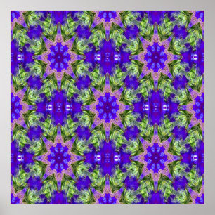 Póster Iris Stars....
