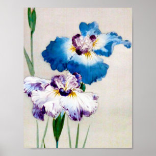Póster Iris, Watanabe Seitei