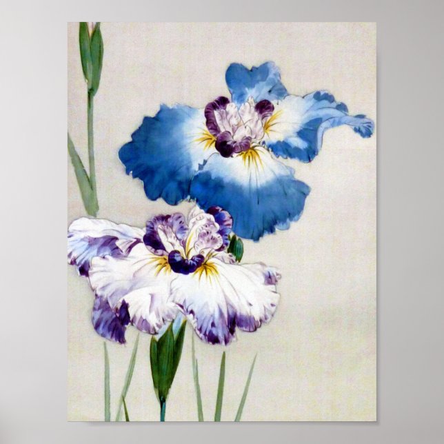 Póster Iris, Watanabe Seitei (Frente)