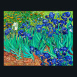 Póster Irises (1889) Vincent Van Gogh blue floral garden<br><div class="desc">The beautiful Van Gogh Irises (1889) fine art print poster showcases the maestro of Post-Impressionism Van Gogh's well-known rendering of the breathtaking blue iris flower garden. While receiving treatment at the Saint Paul-de-Mausole institution in Saint-Rémy-de-Provence, France, in the year before his death in 1890, Vincent van Gogh created several works...</div>