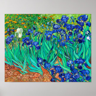 Póster Irises (1889) Vincent Van Gogh blue floral garden 