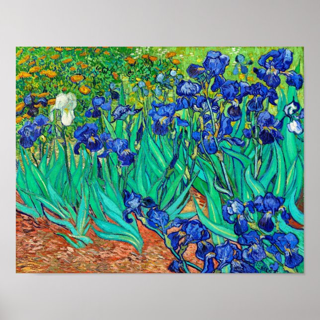 Póster Irises (1889) Vincent Van Gogh blue floral garden  (Frente)