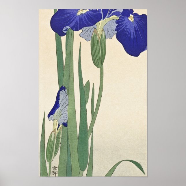 Póster Irises azules (1900-1930) de Ohara Koson (Frente)