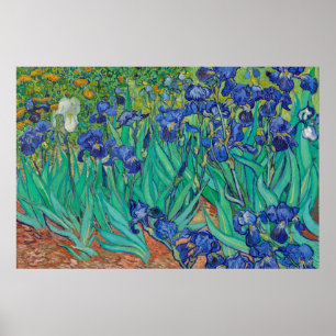 Póster Irises by Van Gogh Art Painting