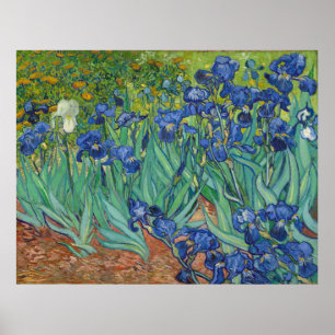 Póster Irises by Vincent Van Gogh 1889
