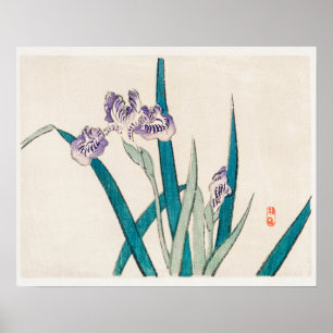 Póster Irises de Kōno Bairei (1844-1895)