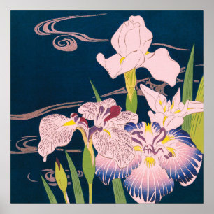 PÓSTER IRISES DE KUGYO TSUKIOKA