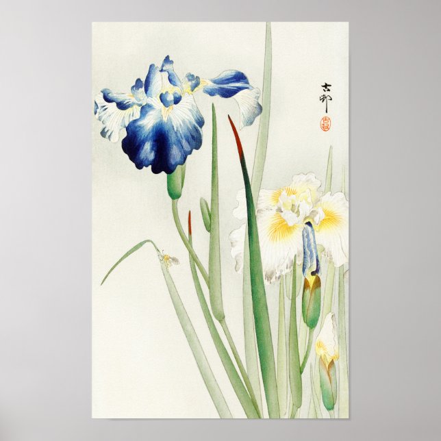 Póster Irises de Ohara Koson (Frente)