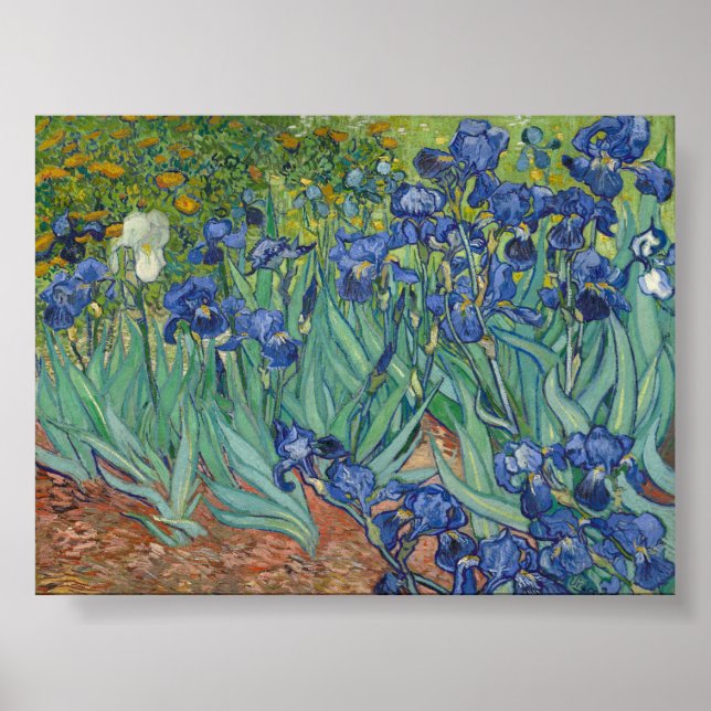 Póster Irises de Van Gogh (Frente)