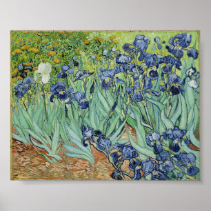 Póster Irises de Van Gogh