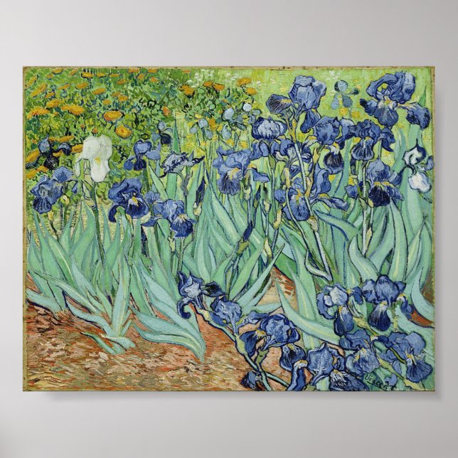 Póster Irises de Van Gogh (Frente)
