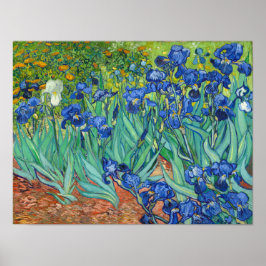 Póster Irises de Van Gogh