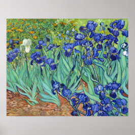 Póster Irises de Vincent van gogh