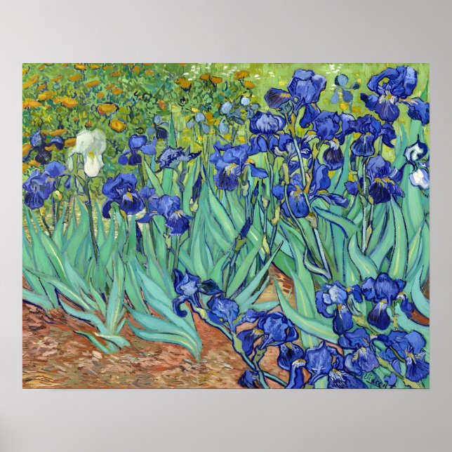 Póster Irises de Vincent van gogh (Frente)