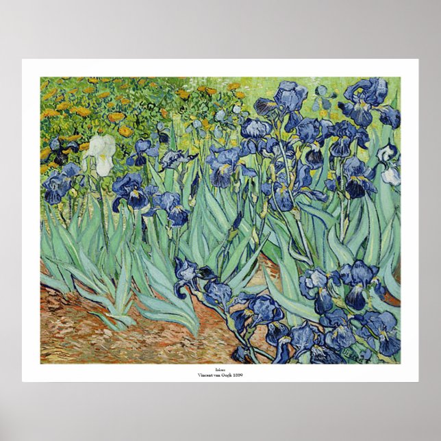 Póster Irises de Vincent van Gogh (Frente)