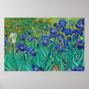 Póster Irises de Vincent van Gogh