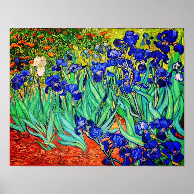 Póster Irises de Vincent Van Gogh (Frente)
