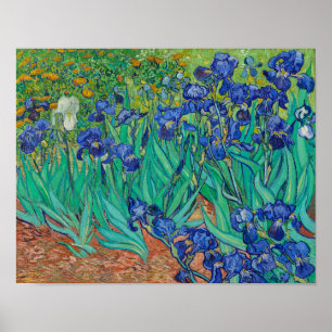Póster Irises de Vincent Van Gogh