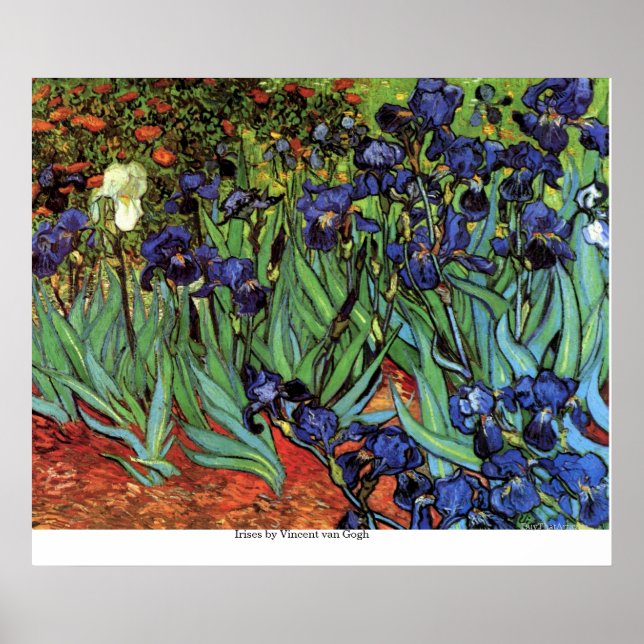 Póster Irises de Vincent van Gogh (Frente)