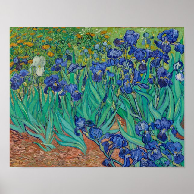 Póster Irises de Vincent Van Gogh (Frente)