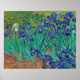 Póster Irises de Vincent Van Gogh
