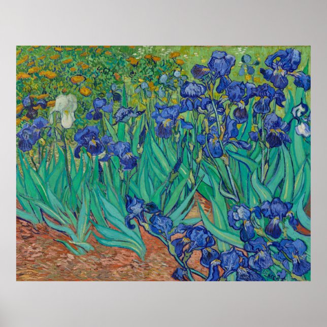 Póster Irises de Vincent Van Gogh (Frente)