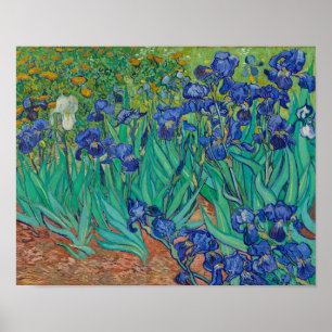 Póster Irises de Vincent Van Gogh