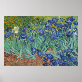 Póster Irises de Vincent van Gogh