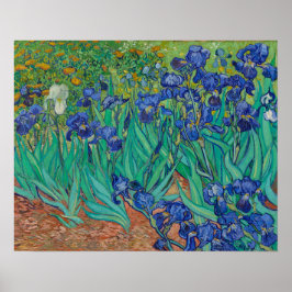 Póster Irises de Vincent Van Gogh