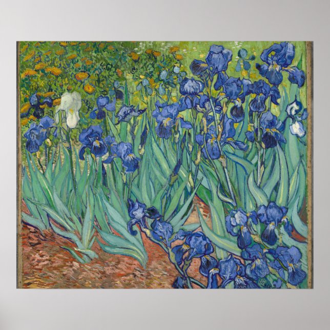 Póster Irises de Vincent Van Gogh (Frente)