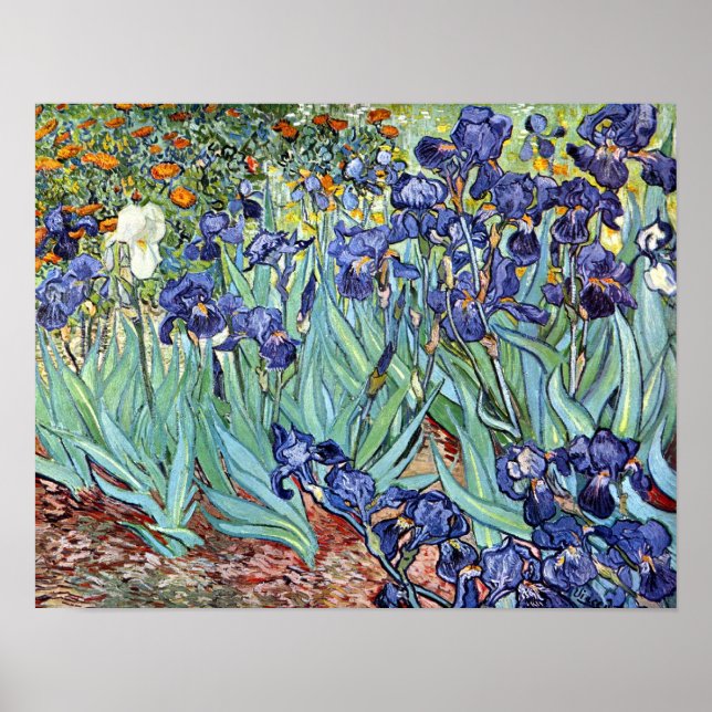Póster Irises de Vincent van Gogh 1898 (Frente)