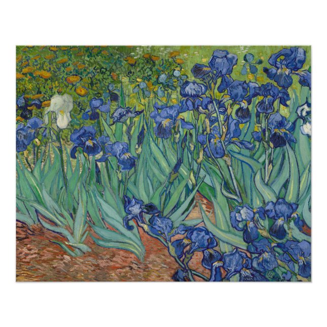 Póster Irises, Floral Oil Painting, Vincent Van Gogh (Anverso)