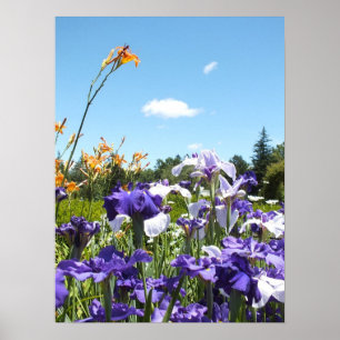 Póster Irises morados y Poster cielo azul