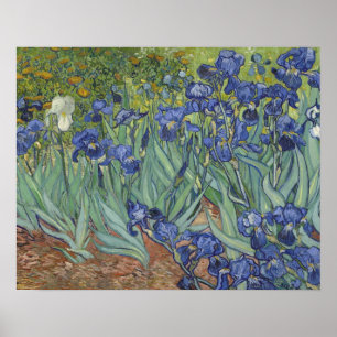 Póster Irises Poster