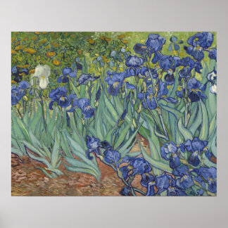 Póster Irises Poster