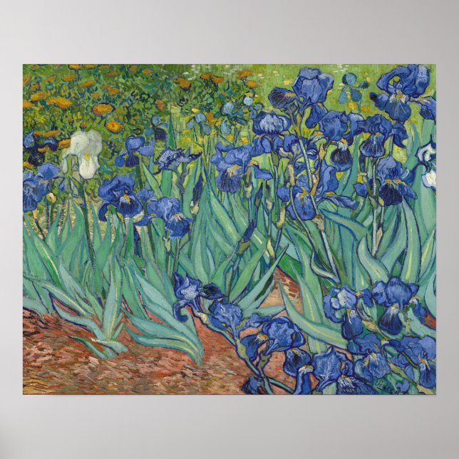 Póster Irises Poster (Frente)