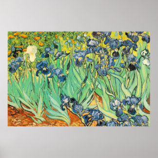 Póster Irises - Van Gogh - c1889