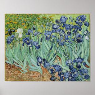 Póster Irises - Van Gogh Print
