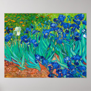 Póster Irises, Vincent van Gogh