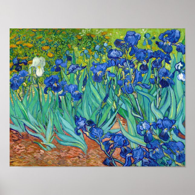Póster Irises, Vincent van Gogh (Frente)