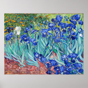 Póster Irises Vincent van Gogh