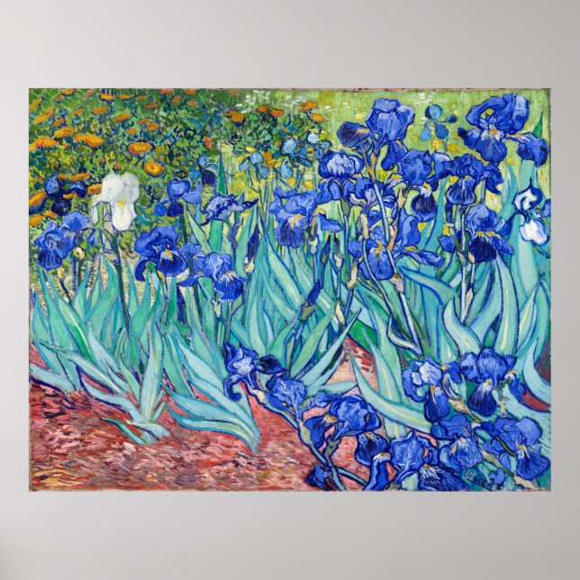 Póster Irises Vincent van Gogh (Frente)