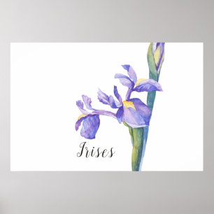 Póster Irises Watercolor Floral
