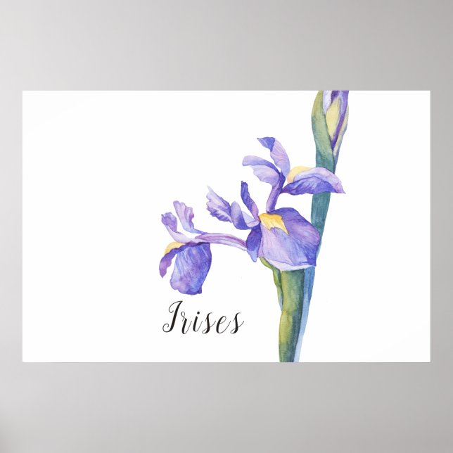 Póster Irises Watercolor Floral (Frente)