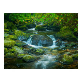 Póster Irish Forest Stream – Emerald Woodland Photo Print